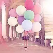 ぱるの画像