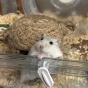 m__13の画像
