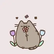 Kaimaro