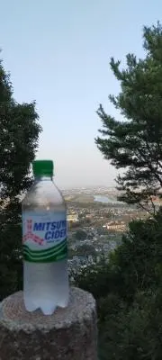 hamiの画像