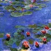 waterlili