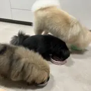 ＊はなしがい＊9月セール中！！の画像