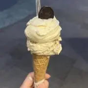 ユーカリの画像