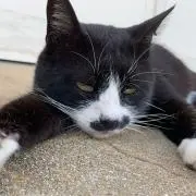のあ【プロフ必読★】の画像