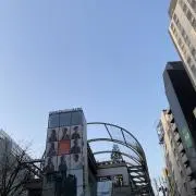 モリミの画像