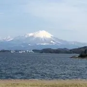 ちびぃの画像