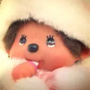 たかぱんの画像