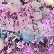めめめ