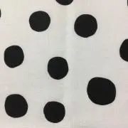 k-pasの画像