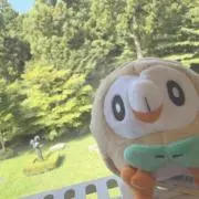 ふーの画像