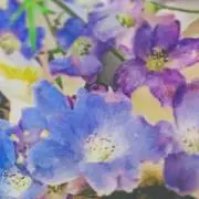 はるの画像