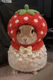 さっちゃんの画像
