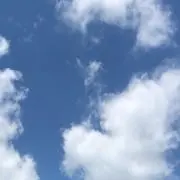 みみみの画像