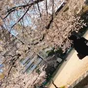 ぴーの画像