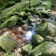 ljw080211の画像