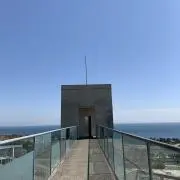 Sonic ⭐︎迅速発送⭐︎即購入OKの画像