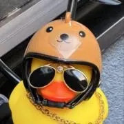 九州の拳