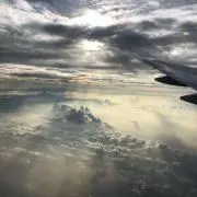 SAONの画像