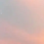 ここにゃんの画像
