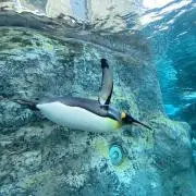 なぎの画像