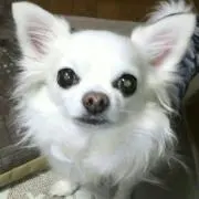 桃ママ