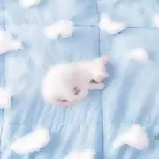 pyon*の画像