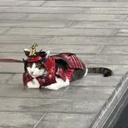 さき
