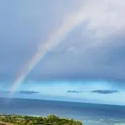 チャコ