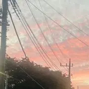 Yaminの画像