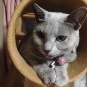 Rika ♪の画像