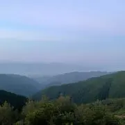 山田さん