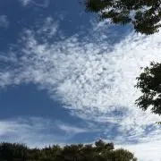 さえの画像