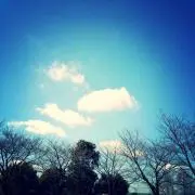nicoの画像