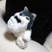 ぽん。の画像