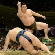 はくほう