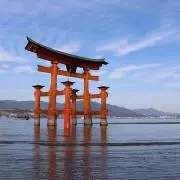 ふの画像