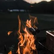 豆太郎の画像
