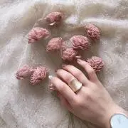 nの画像