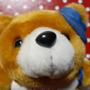 ここりんの画像
