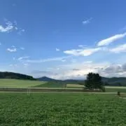 ckの画像