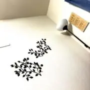 Ranran38の画像