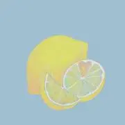 こっこ