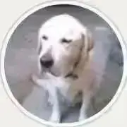 まはこの画像