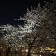 まもるの画像