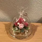 きっちゃんの画像