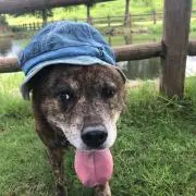 まさ
