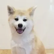 うにまる
