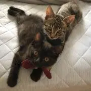 Leo＆Lunaの画像