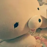 とよ