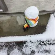 ⛄️